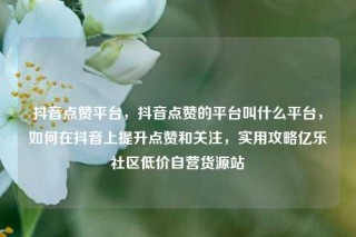 抖音点赞平台，抖音点赞的平台叫什么平台，如何在抖音上提升点赞和关注，实用攻略亿乐社区低价自营货源站