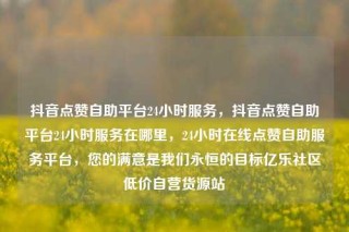 抖音点赞自助平台24小时服务，抖音点赞自助平台24小时服务在哪里，24小时在线点赞自助服务平台，您的满意是我们永恒的目标亿乐社区低价自营货源站
