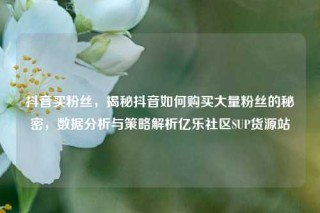 抖音买粉丝，揭秘抖音如何购买大量粉丝的秘密，数据分析与策略解析亿乐社区SUP货源站