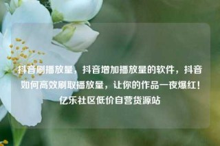 抖音刷播放量，抖音增加播放量的软件，抖音如何高效刷取播放量，让你的作品一夜爆红！亿乐社区低价自营货源站