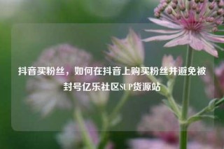 抖音买粉丝，如何在抖音上购买粉丝并避免被封号亿乐社区SUP货源站