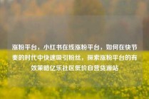 涨粉平台，小红书在线涨粉平台，如何在快节奏的时代中快速吸引粉丝，探索涨粉平台的有效策略亿乐社区低价自营货源站