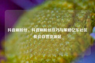 抖音刷粉丝，抖音刷粉丝技巧与策略亿乐社区低价自营货源站