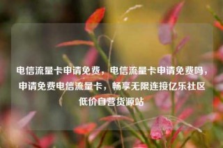电信流量卡申请免费，电信流量卡申请免费吗，申请免费电信流量卡，畅享无限连接亿乐社区低价自营货源站