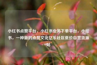 小红书点赞平台，小红书业务下单平台，小红书，一种新的点赞文化亿乐社区低价自营货源站