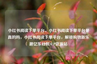 小红书阅读下单平台，小红书阅读下单平台是真的吗，小红书阅读下单平台，解锁购物新乐趣亿乐社区SUP货源站