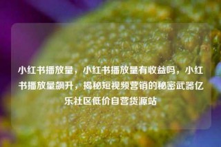 小红书播放量，小红书播放量有收益吗，小红书播放量飙升，揭秘短视频营销的秘密武器亿乐社区低价自营货源站
