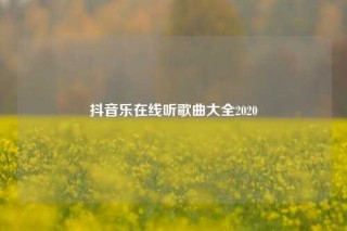 抖音乐在线听歌曲大全2020