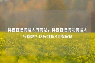抖音直播间挂人气网站，抖音直播间如何挂人气网站？亿乐社区SUP货源站