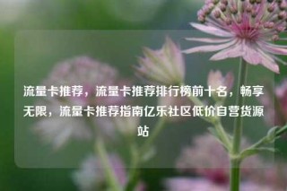 流量卡推荐，流量卡推荐排行榜前十名，畅享无限，流量卡推荐指南亿乐社区低价自营货源站