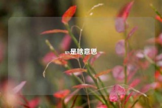 uv是啥意思
