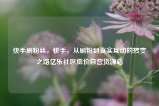 快手刷粉丝，快手，从刷粉到真实互动的转变之路亿乐社区低价自营货源站