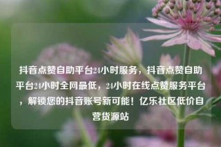 抖音点赞自助平台24小时服务，抖音点赞自助平台24小时全网最低，24小时在线点赞服务平台，解锁您的抖音账号新可能！亿乐社区低价自营货源站