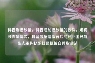 抖音刷播放量，抖音增加播放量的软件，短视频流量博弈，抖音数据造假背后的产业困局与生态重构亿乐社区低价自营货源站