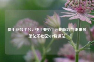 快手业务平台，快手业务平台的崛起与未来展望亿乐社区SUP货源站