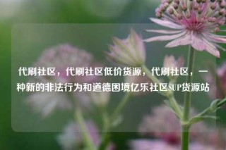 代刷社区，代刷社区低价货源，代刷社区，一种新的非法行为和道德困境亿乐社区SUP货源站