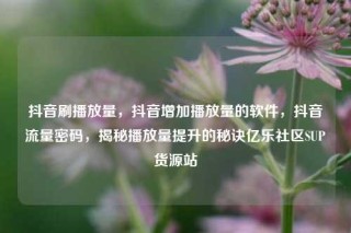 抖音刷播放量，抖音增加播放量的软件，抖音流量密码，揭秘播放量提升的秘诀亿乐社区SUP货源站