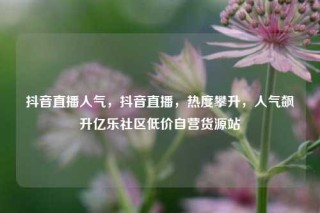 抖音直播人气，抖音直播，热度攀升，人气飙升亿乐社区低价自营货源站