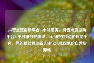 抖音点赞自助平台24小时服务，抖音点赞自助平台24小时服务在哪里，24小时在线点赞自助平台，您的粉丝管理新选择亿乐社区低价自营货源站
