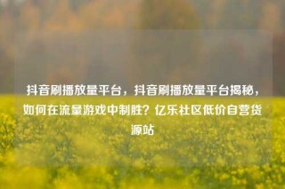抖音刷播放量平台，抖音刷播放量平台揭秘，如何在流量游戏中制胜？亿乐社区低价自营货源站