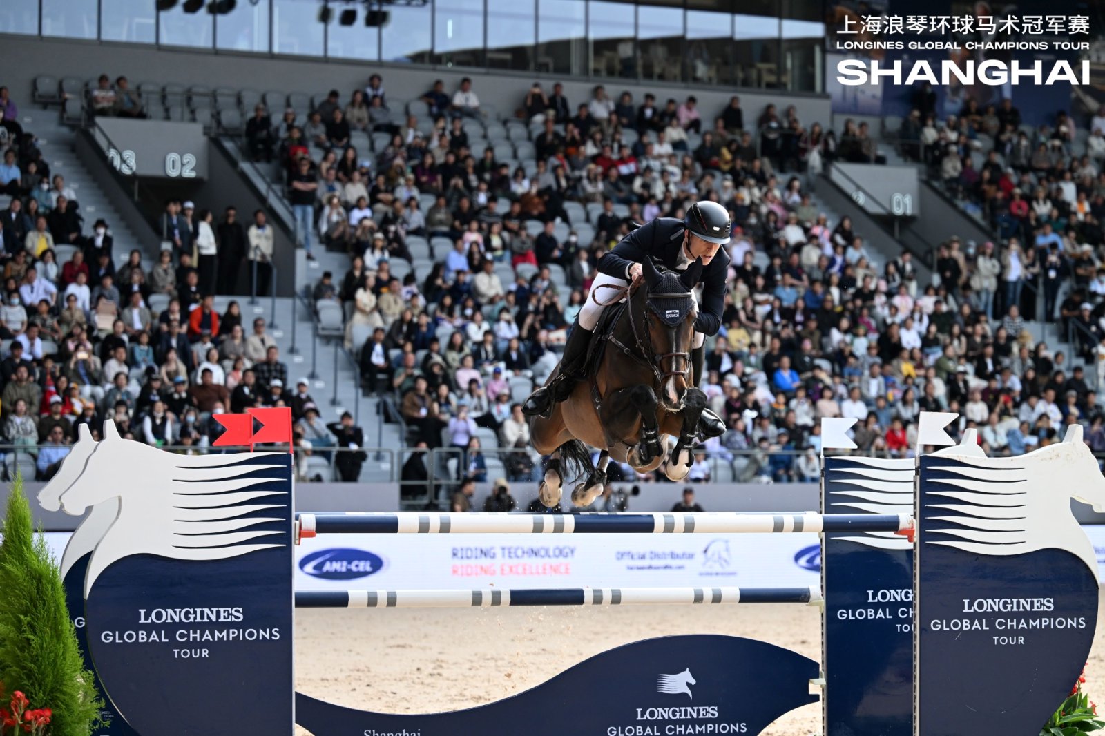 这一上海国际顶级马术障碍赛走近公众  第2张