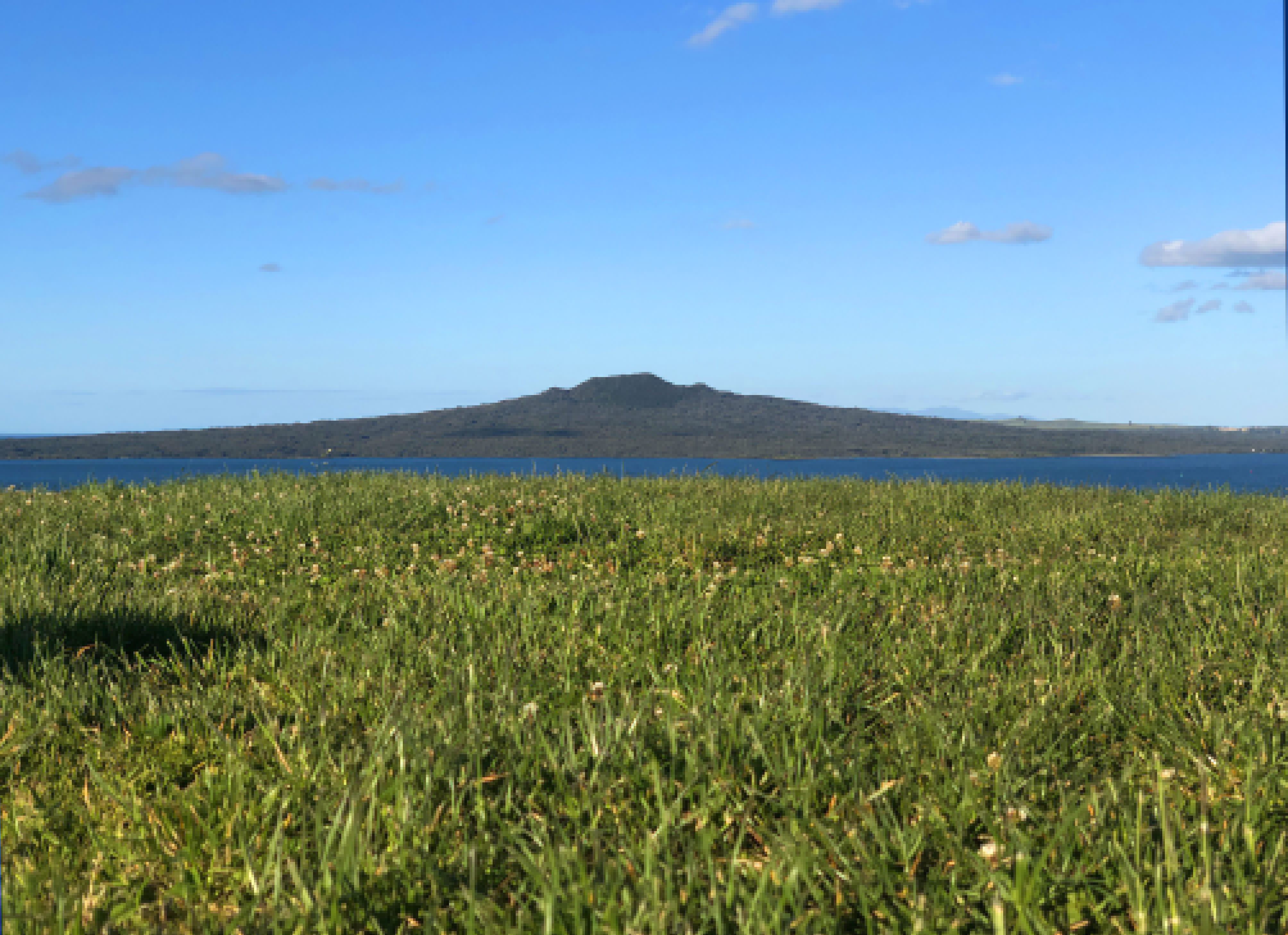 南十字星照亮天地 第6张 南十字星照亮天地 第6张