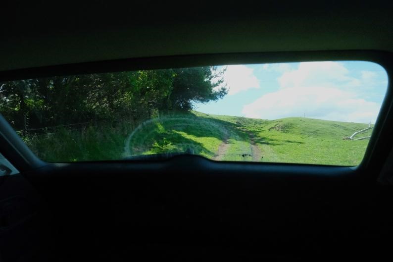 南十字星照亮天地 第8张 南十字星照亮天地 第8张