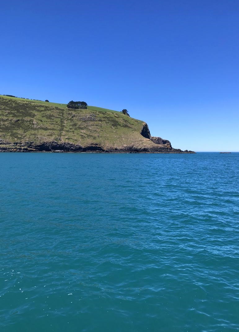 南十字星照亮天地 第11张 南十字星照亮天地 第11张