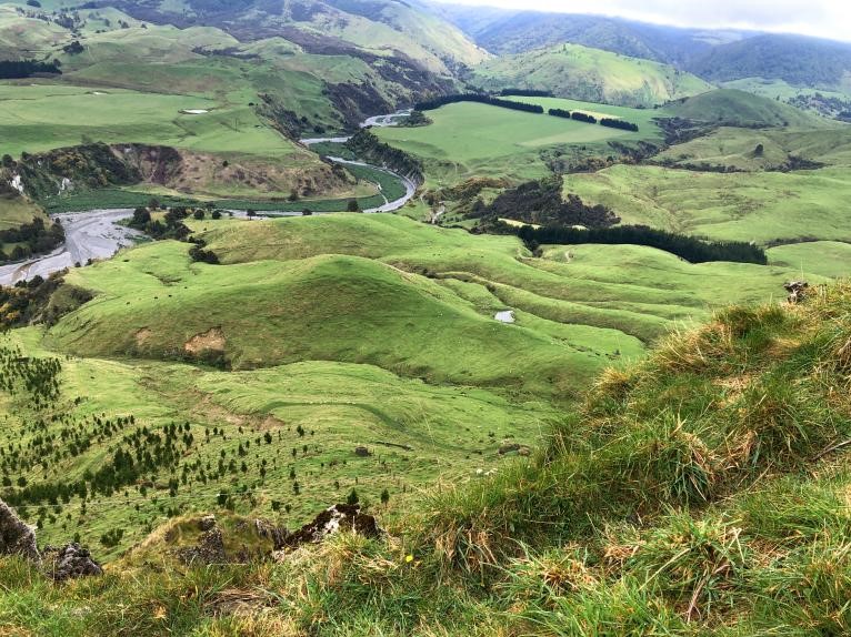 南十字星照亮天地 第9张 南十字星照亮天地 第9张