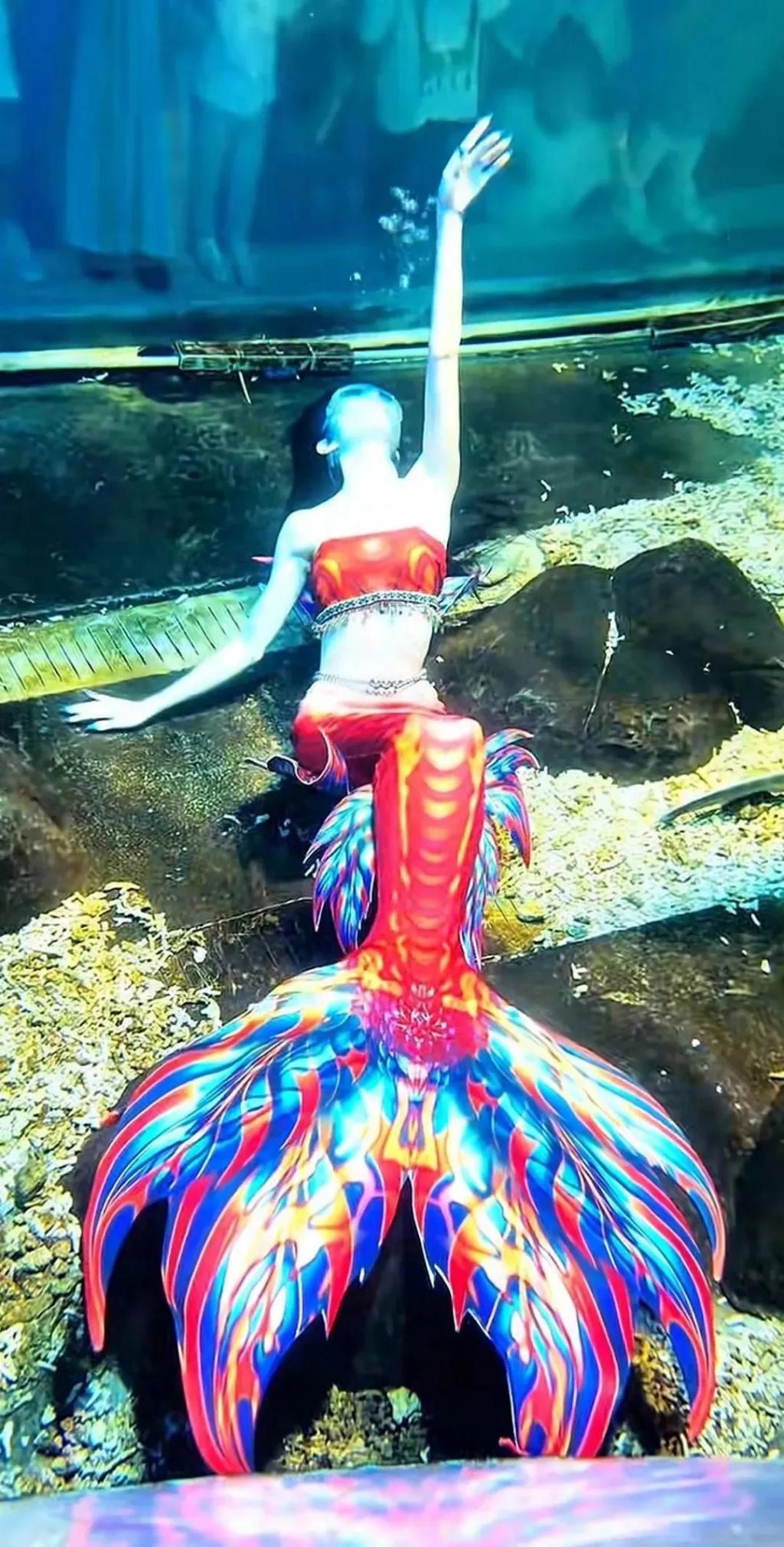 “美人鱼”女孩溺水进了ICU，危险的青春饭  第5张