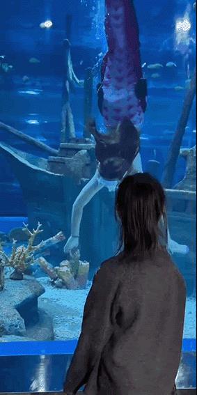 “美人鱼”女孩溺水进了ICU，危险的青春饭  第11张