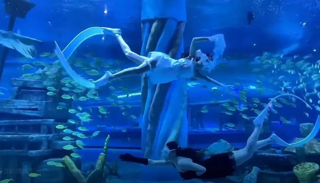 “美人鱼	”女孩溺水进了ICU，危险的青春饭  第9张