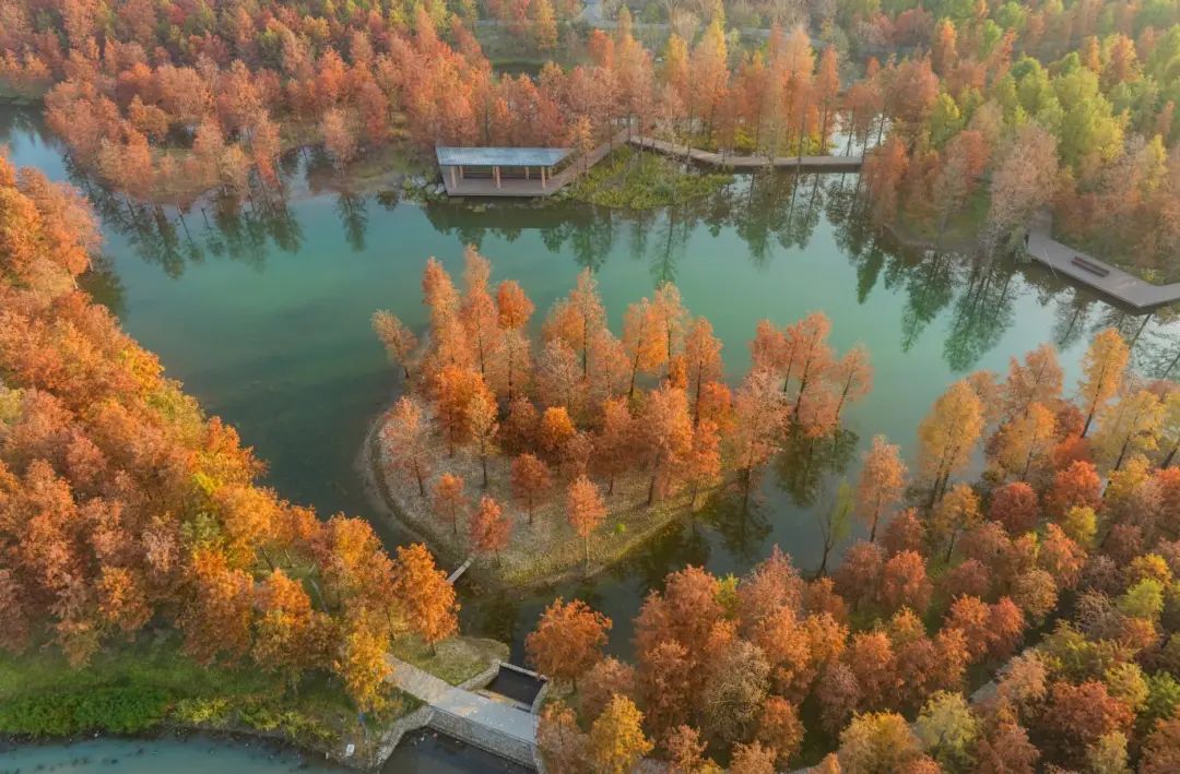 上海市重大工程一季度开局良好，多项生态类项目按计划实施  第2张