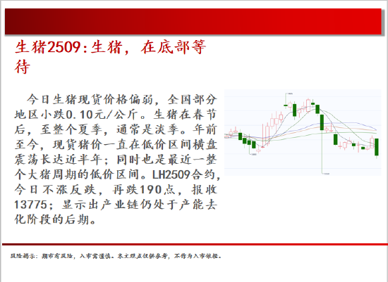 中天期货:棕榈震荡回落 白糖走势不稳 第4张 中天期货:棕榈震荡回落 白糖走势不稳 第4张