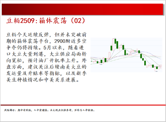 中天期货:棕榈震荡回落 白糖走势不稳 第9张 中天期货:棕榈震荡回落 白糖走势不稳 第9张