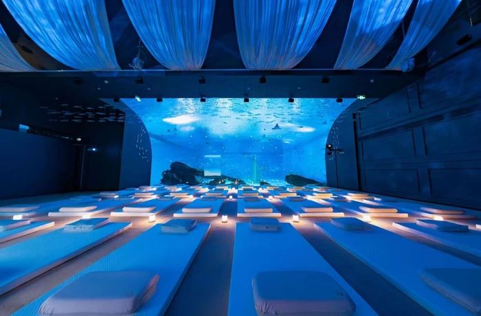 华住20年压箱底技术，这款枕头凭啥让会员疯狂求链接？  第6张