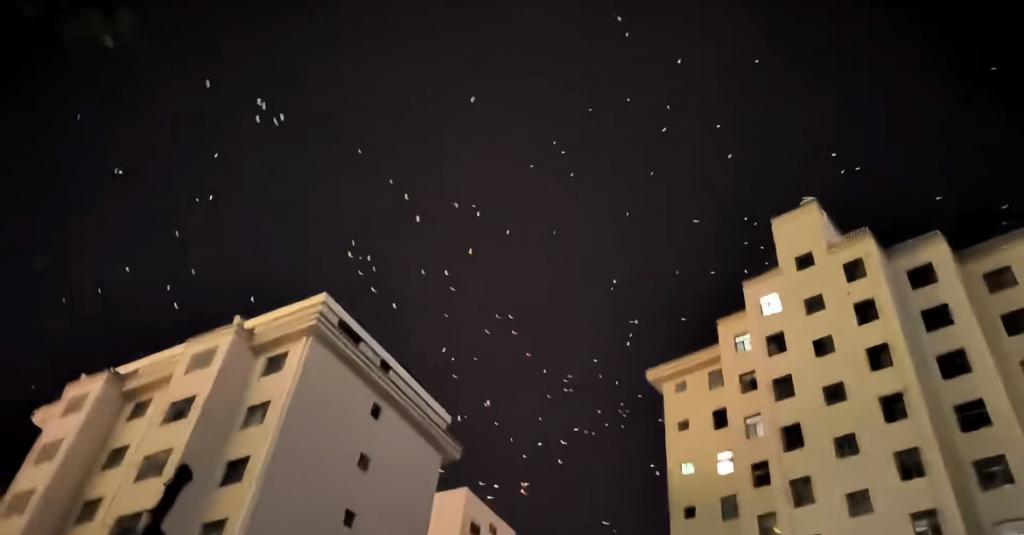 甘肃一地现大量飞鸟在天空盘旋，有网友担心为地震前兆，地震局：鸟类聚集并非特别异常  第1张