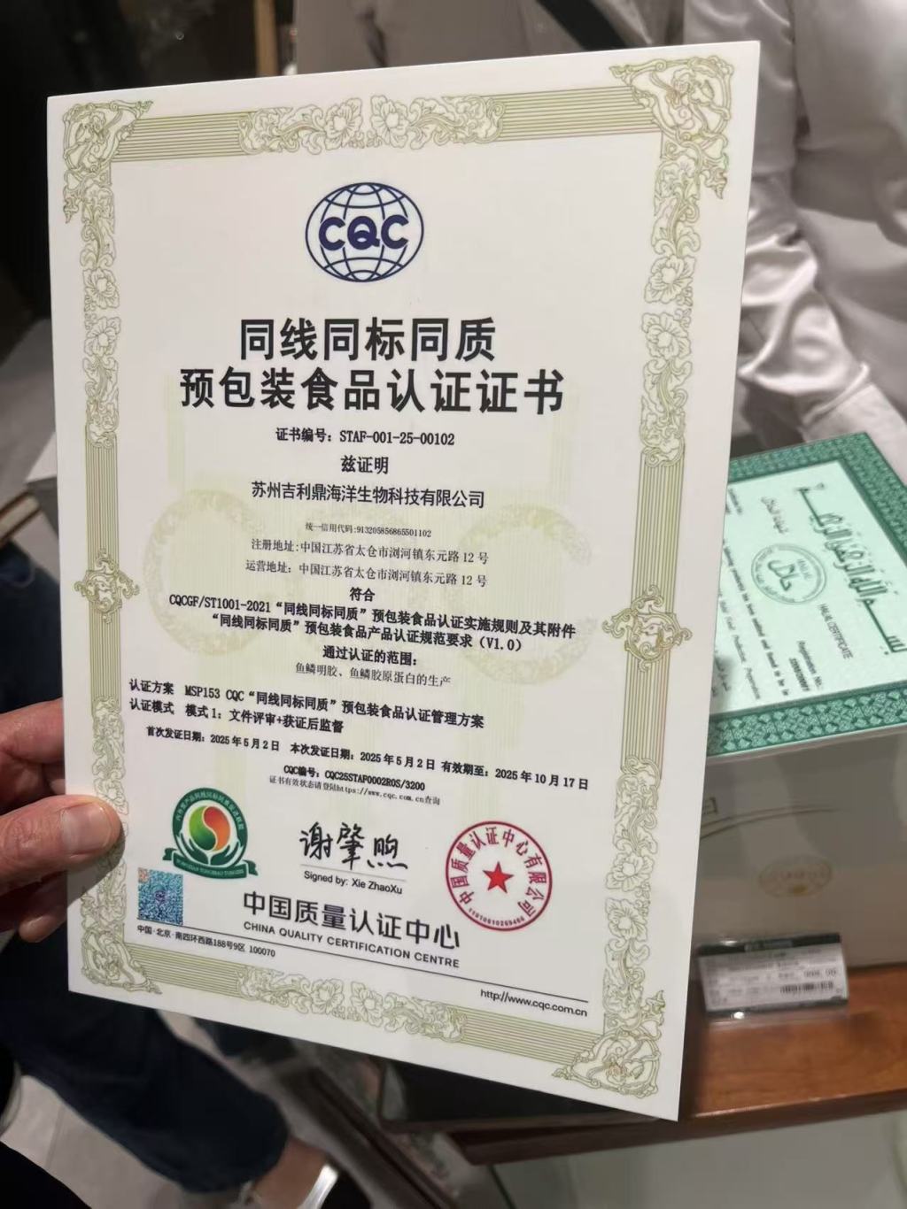 韧性十足的中国外贸企业：“不倒翁”被摁下去，还会再弹起来  第6张