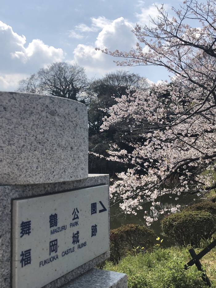 花开之处，便是故地  第16张