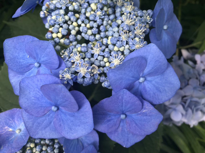 花开之处，便是故地  第28张