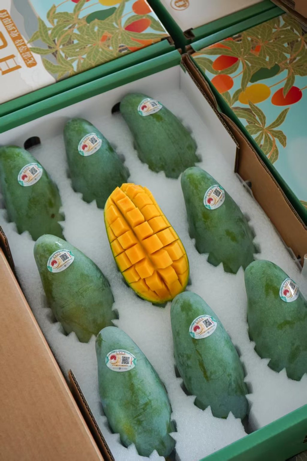 广西百色“致富果”：高品质芒果直供香港，带动近五千户增收  第2张