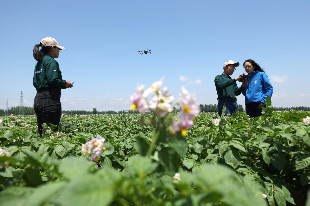 当智慧农场遇见绿色工厂:百事如何用科技留住春天的味道? 第1张 当智慧农场遇见绿色工厂:百事如何用科技留住春天的味道? 第1张