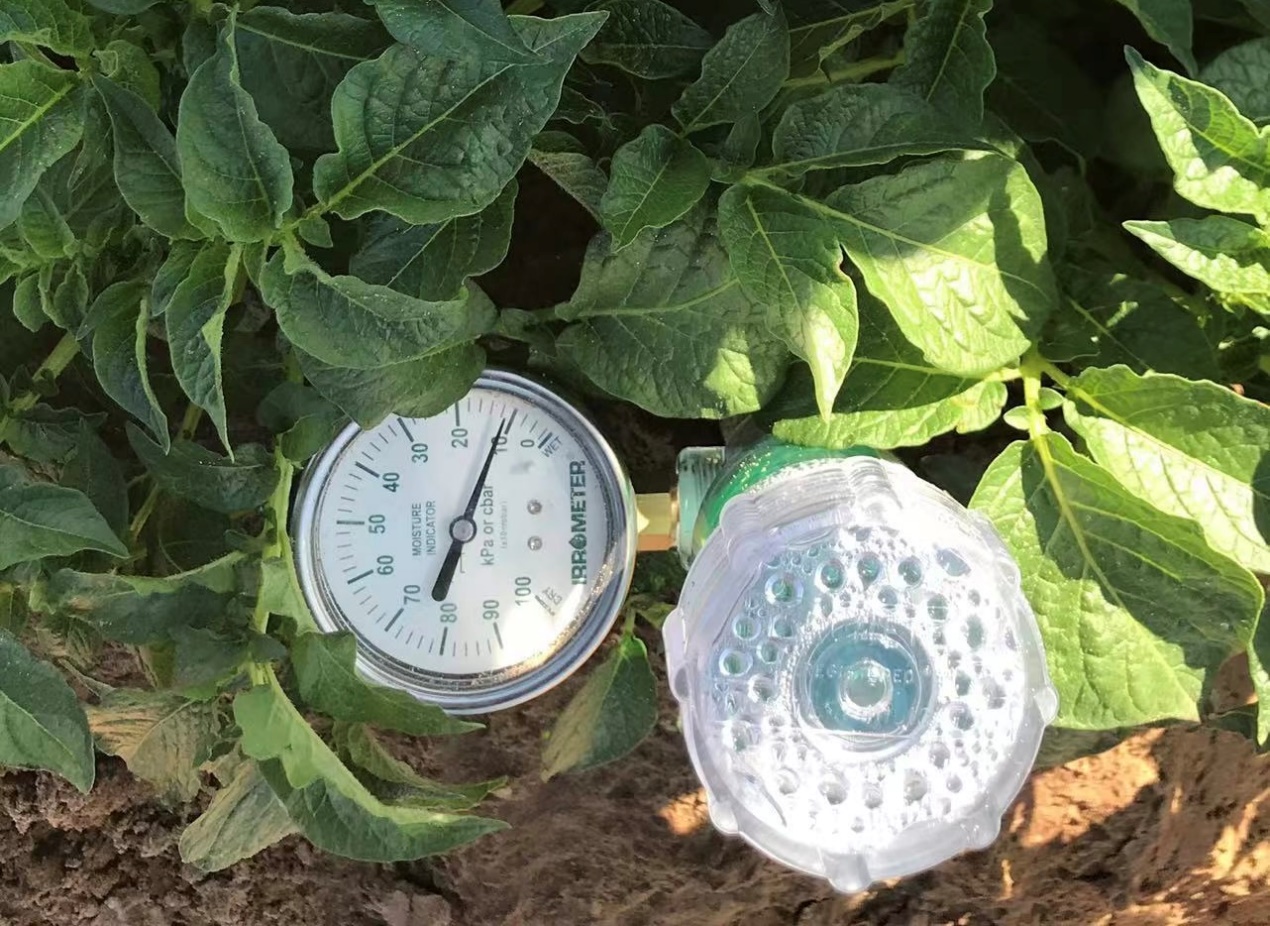 当智慧农场遇见绿色工厂:百事如何用科技留住春天的味道? 第2张 当智慧农场遇见绿色工厂:百事如何用科技留住春天的味道? 第2张