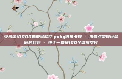 免费领10000播放量软件,pubg低价卡网 - 抖音点赞网址最低秒到账 快手一块钱100个微信支付  第1张