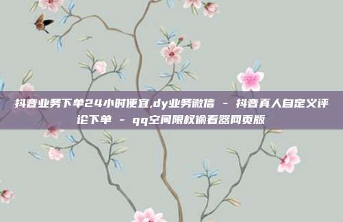 抖音业务下单24小时便宜,dy业务微信 - 抖音真人自定义评论下单 qq空间限权偷看器网页版  第1张