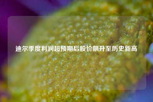 迪尔季度利润超预期后股价飙升至历史新高  第1张