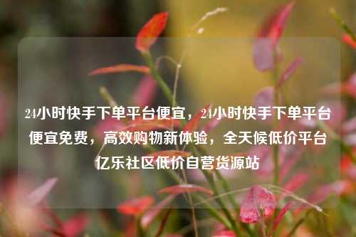 24小时快手下单平台便宜	，24小时快手下单平台便宜免费，高效购物新体验，全天候低价平台亿乐社区低价自营货源站  第1张