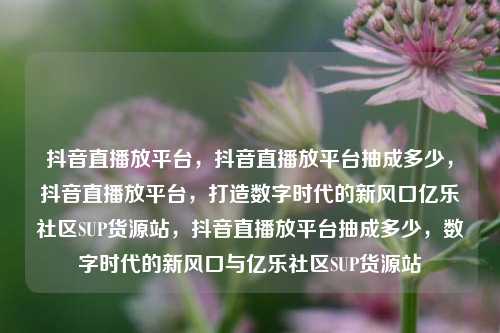 抖音直播放平台	，抖音直播放平台抽成多少，抖音直播放平台，打造数字时代的新风口亿乐社区SUP货源站	，抖音直播放平台抽成多少，数字时代的新风口与亿乐社区SUP货源站  第1张