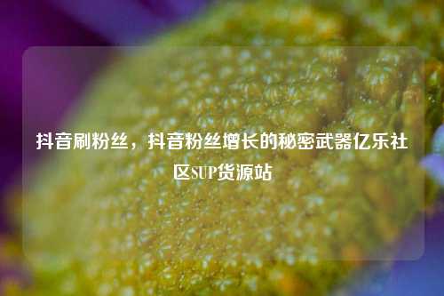 抖音刷粉丝，抖音粉丝增长的秘密武器亿乐社区SUP货源站  第1张
