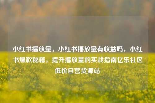 小红书播放量，小红书播放量有收益吗	，小红书爆款秘籍，提升播放量的实战指南亿乐社区低价自营货源站  第1张